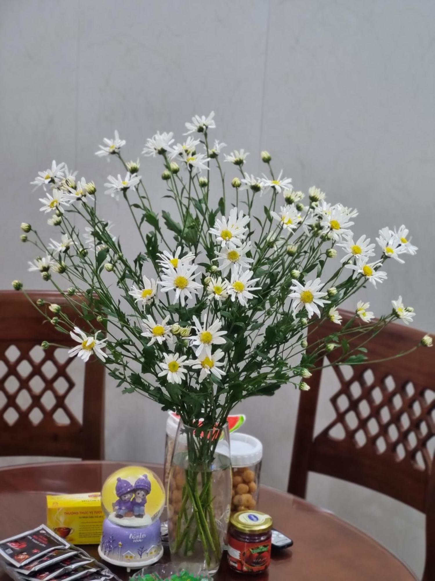 May'S Cottage Hanoi Dış mekan fotoğraf